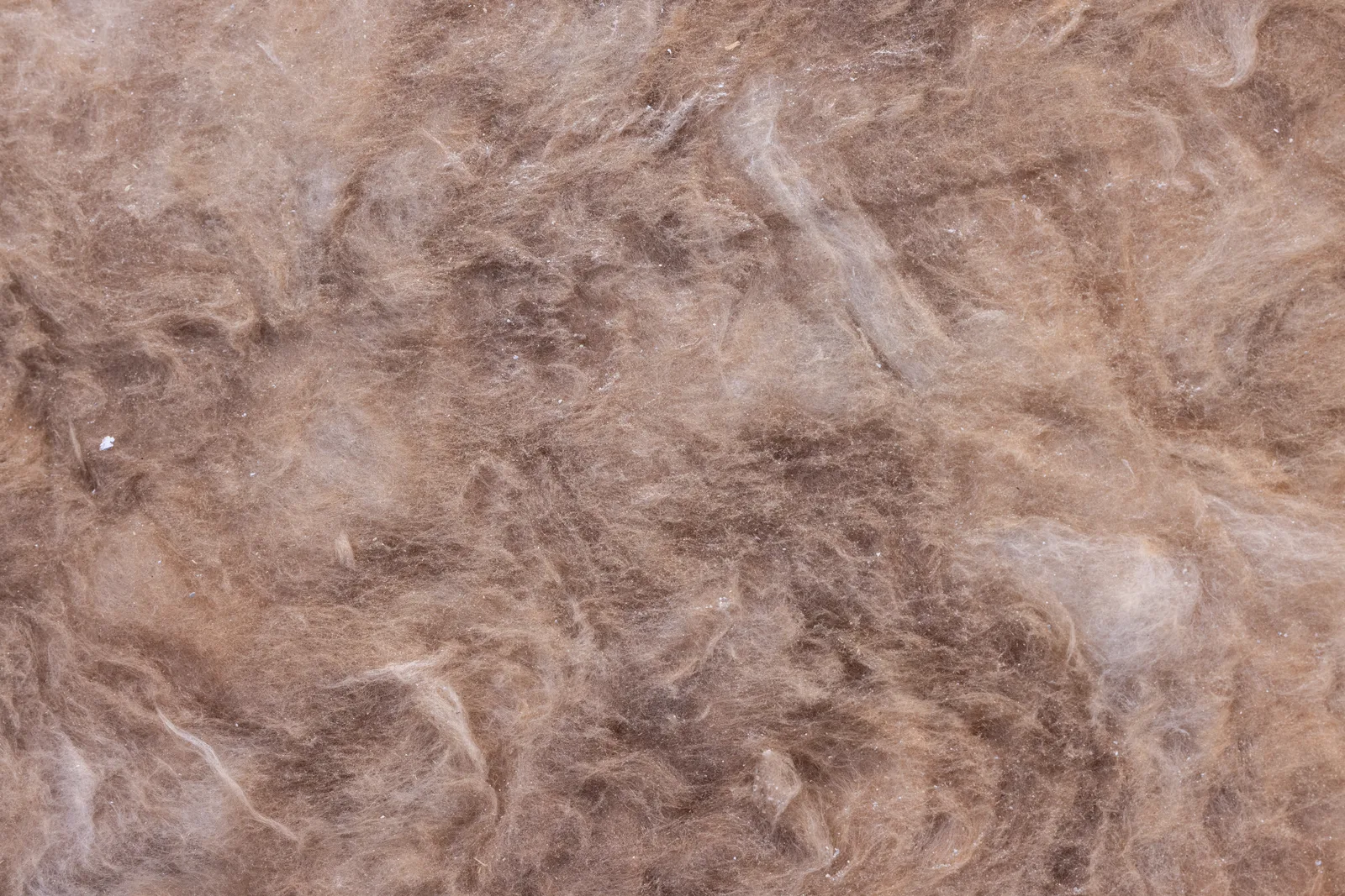 Rockwool Лайт Баттс 100мм 600х800